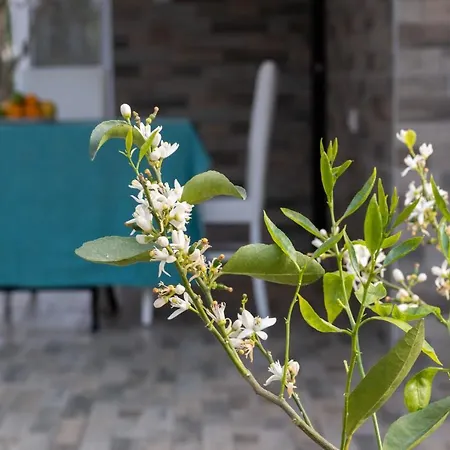 Lale - 4 Bed With Kitchen And Garden! Villa Serik