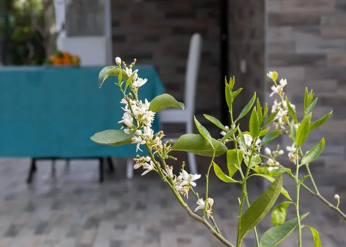 Lale - 4 Bed With Kitchen And Garden! Villa Serik